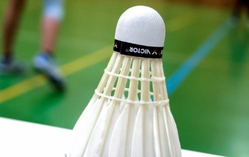 Die Domfedern laden ein: 13. Internationales Badmintonturnier