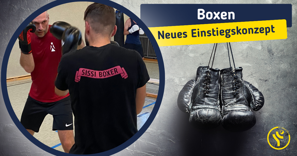 Boxen – Neues Einstiegskonzept bei den Sissi Boxern! – LEIDER AUSGEBUCHT!