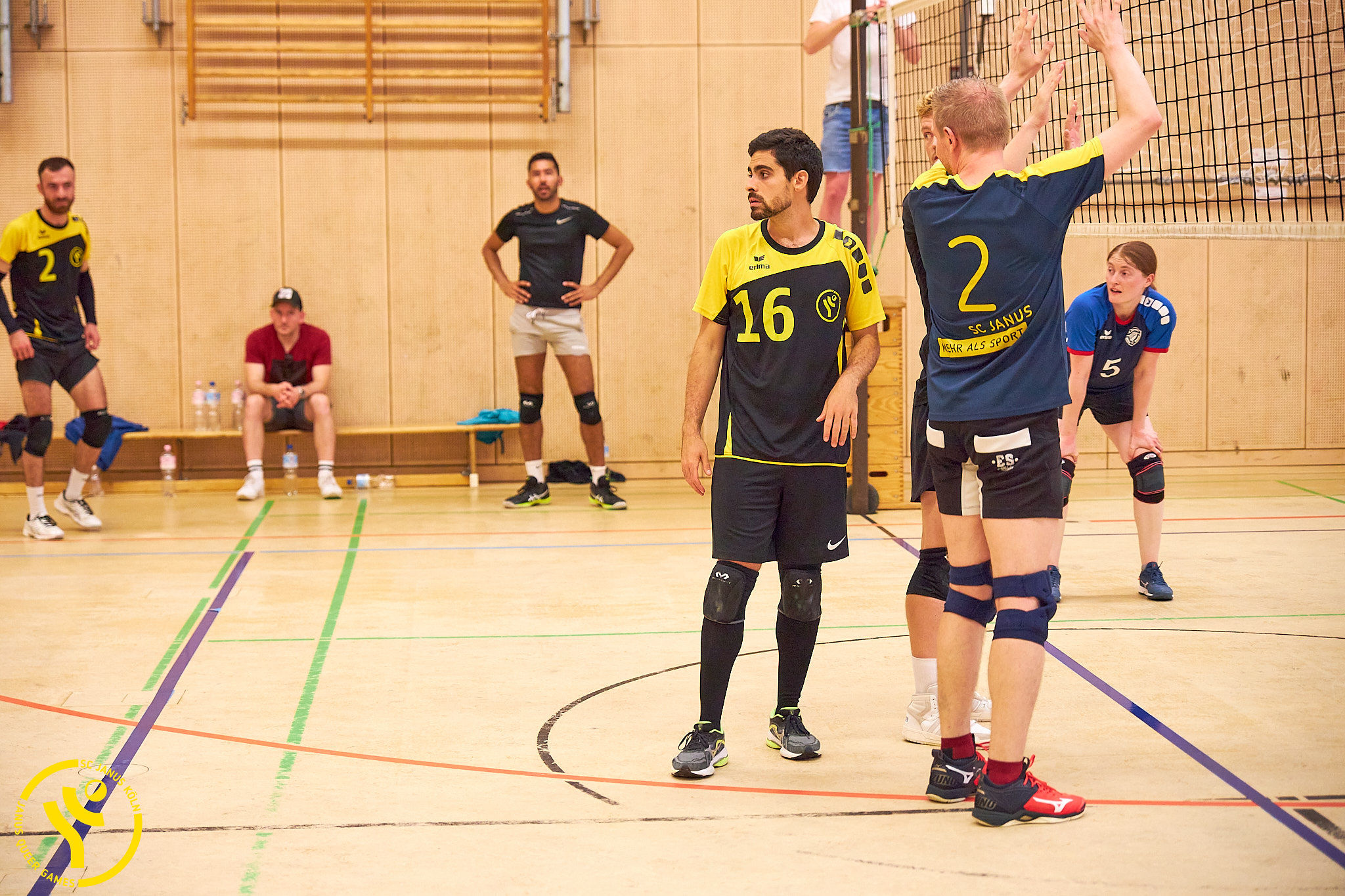Janus-Queer-Games-2024-Volleyball-001